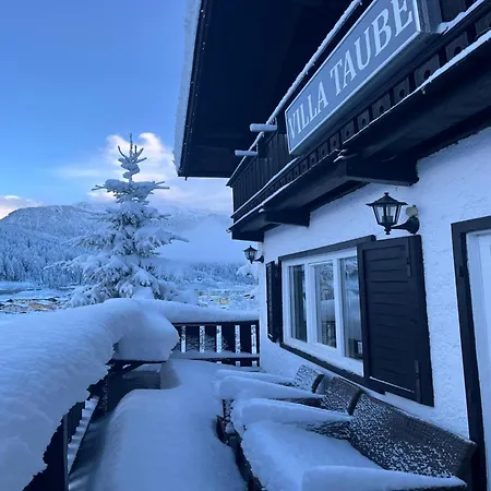 Taube Xl * 巴德加斯坦