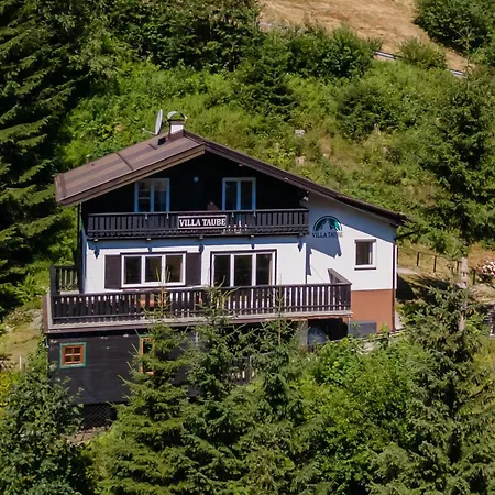 Taube Xl 巴德加斯坦