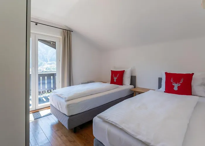 Taube Xl